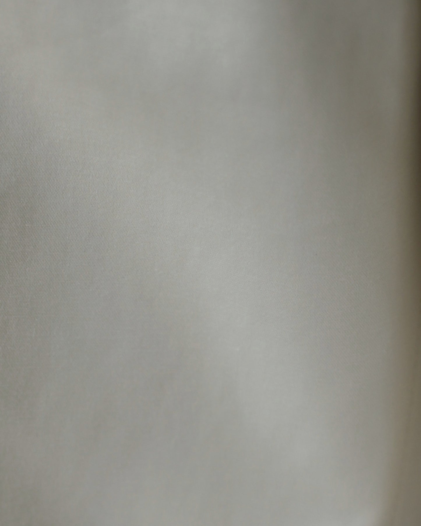 ssstein/DOUBLE WEAVE COTTON ONE TUCK WIDE PANTS "CREAM"