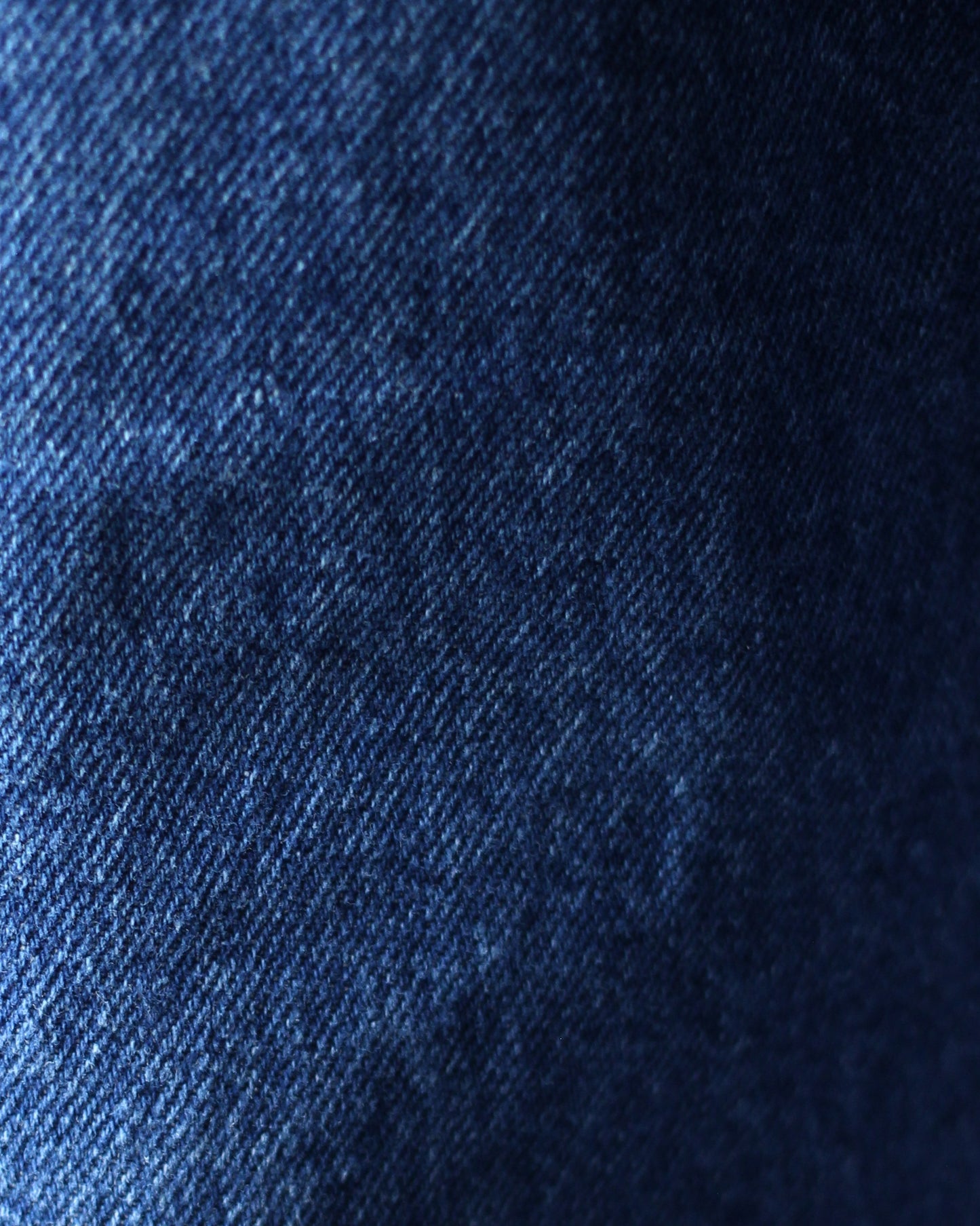 STABILIZER GNZ/lot.0-38(Washed waist overall) "indigo"